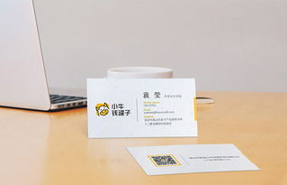 【精品名片設(shè)計印刷,萊妮紙,白卡紙,剛古紙,珠光紙,雅柔紙】-