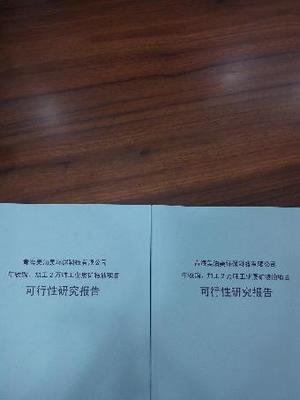 原陽養老地產項目可行性研究報告